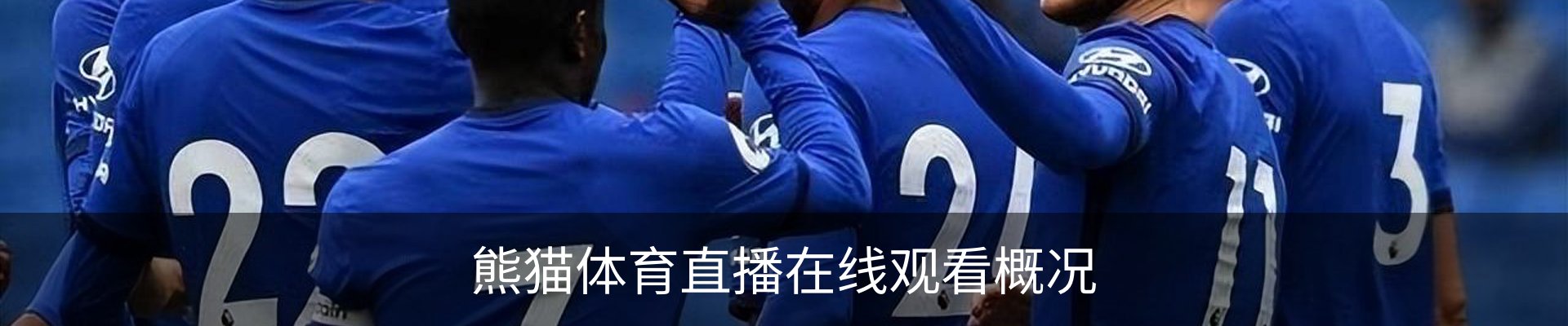 熊猫体育直播在线观看概况